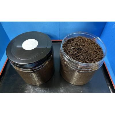 ふるさと納税 白浜町 ヘラクレスオオカブト幼虫ペア ※育て方の説明書付き |  | 01