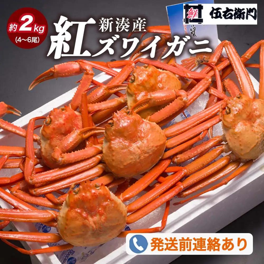 【伍右衛門】新湊産紅ズワイガニ約2kg（4～6尾）｜ずわい蟹 ずわいガニ ズワイガニ ※2026年9月～発送 ※発送まで1か月以上かかる場合があります。