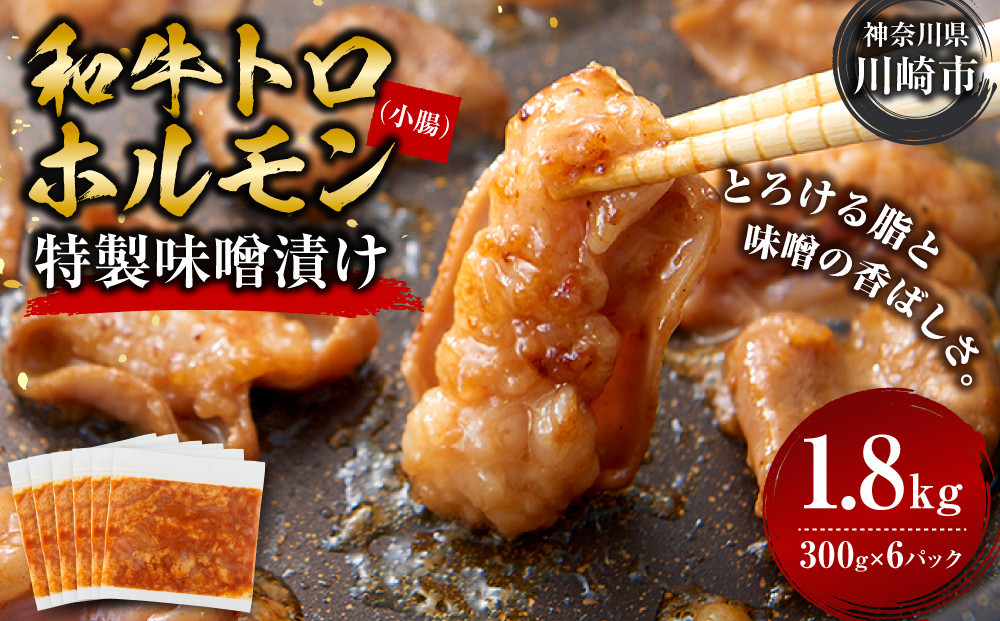 ＜訳アリ＞和牛トロホルモン　特製味噌漬け　1.8kg(300g×6）【2026年8月発送】 141305_KZ39VC08