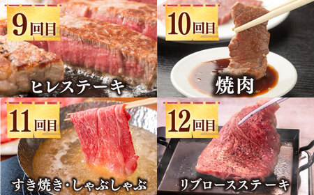 【全12回定期便】《50万》 壱岐牛 ギュギュギュ 定期便 （壱）《壱岐市》 肉 ステーキ 焼肉 しゃぶしゃぶ すき焼き 赤身[JZX010] コダワリステーキ・すき焼き・しゃぶしゃぶ・焼肉 こだわり