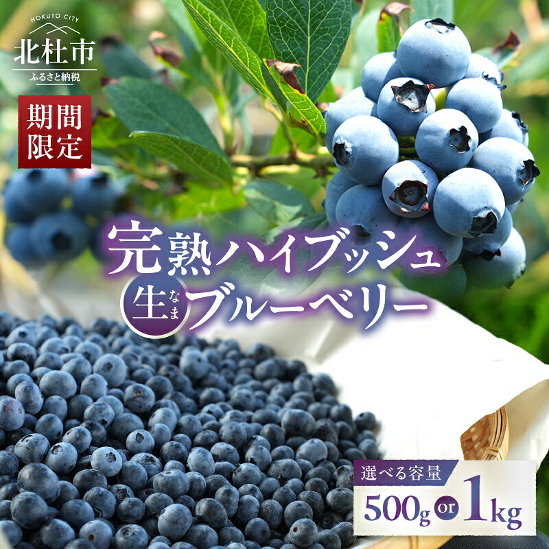 【ふるさと納税】 【2027年発送 先行予約】 ブルーベリー 完熟 大きい 選べる容量 計500g 計1kg ハイブッシュ・ブルーベリー 甘い フルーツ 果物 旬 くだもの デザート 大粒 人気 冷蔵 期間限定 数量限定 山梨県産 北杜市 送料無料