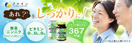 J-65　イチョウの葉エキス粒400粒×３個セット