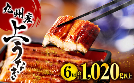 うなぎ 蒲焼 6尾 うなぎ 鰻 九州産 国産