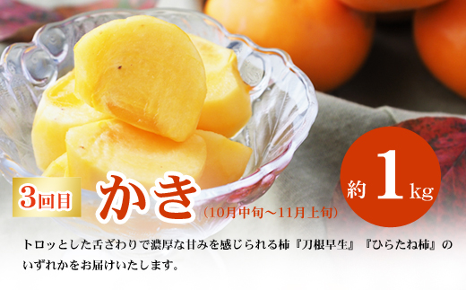 No.2867福島のフルーツ定期便３種【2025年発送】