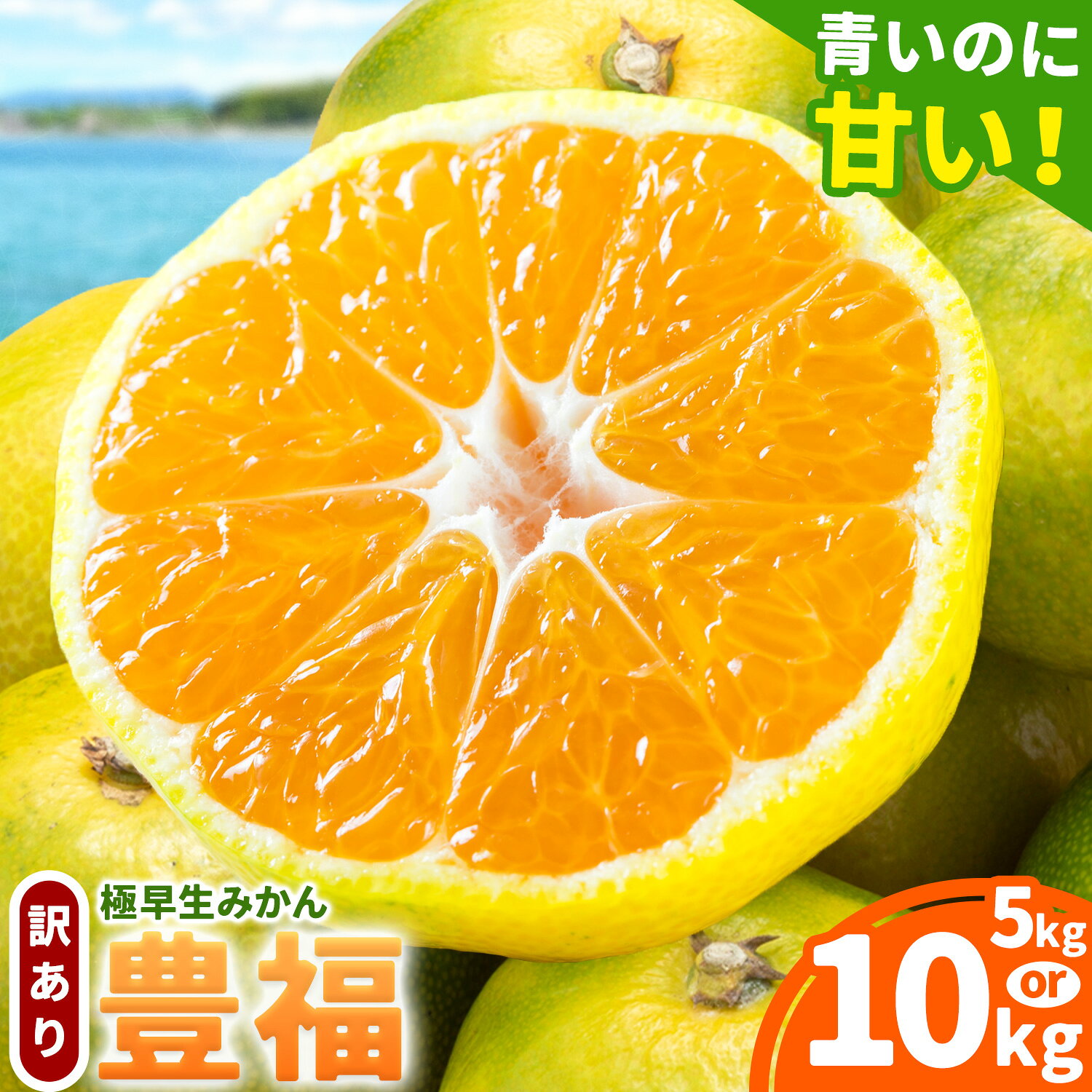 【ふるさと納税】【先行予約】 果物 フルーツ みかん 訳あり極早生みかん 豊福 選べる内容量 約5kg 約10kg 都呂々みかん生産者グループ《10月中旬-11月下旬頃出荷》 ミカン 蜜柑 柑橘 生産者直送 産地直送 天草 苓北 送料無料 熊本県【配送不可地域あり】