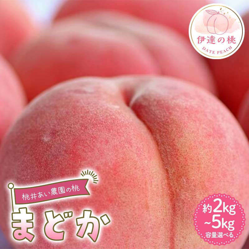 【ふるさと納税】＼選べる容量／【2026年出荷分先行予約】福島県産 まどか 約2kg 約3kg 約5kg 桃井あい農園 伊達の桃 桃 フルーツ 果物 もも モモ momo F21C-208var