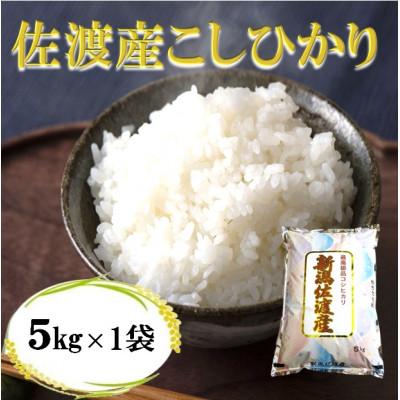 ふるさと納税 佐渡市 【令和7年産】佐渡高千産コシヒカリ5kg(精米)