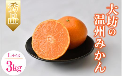 【2026年分先行予約】大坊の温州みかん 3kg（Lサイズ） ※2026年11月中旬～12月下旬頃に順次発送予定【期間限定・数量限定】 / みかん 蜜柑 3キロ お取り寄せ 産地直送 贈答品 ギフト 