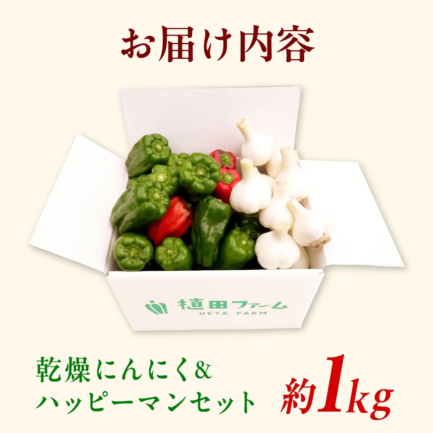 【先行予約】乾燥平戸にんにく＆ハッピーマンセット 約1キロ 約1kg 〈2026年10月-11月末頃発送〉ニンニク 自然乾燥平戸にんにく ピーマン 野菜 やさい おかず 副菜 お弁当 新鮮 おいしい 
