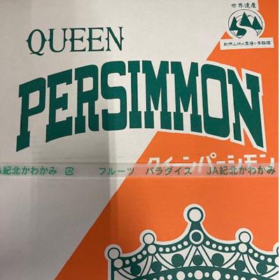 ふるさと納税 印南町 大玉サイズの平たねなし柿「クイーンパーシモン」約4kg(10玉〜12玉おまかせ)【印南町】 |  | 01