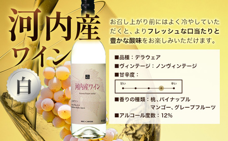 いちじくワイン 720ml ＆ 河内産ワイン 750ml セット 計2本