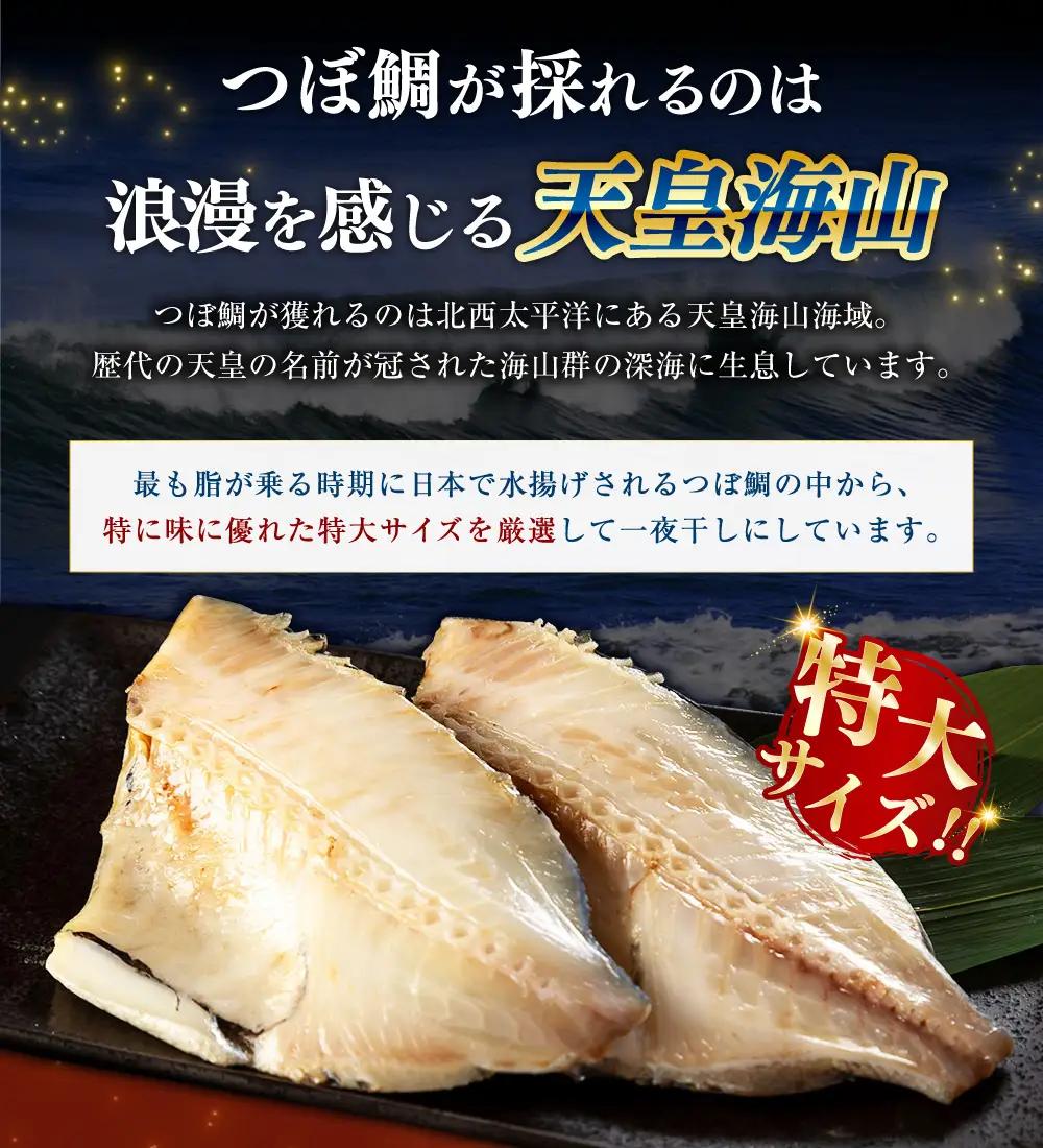 【 14営業日以内に発送 】 釧之助 極旨つぼだい半身 100g × 5パック 計500g タイ たい 鯛 つぼ鯛 魚 魚類 魚介 魚介類 海鮮 干物 一夜干し おつまみ 晩酌 おかず 冷凍