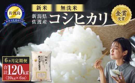 【新米・先行予約】無洗米20kg 新潟県佐渡産コシヒカリ20kg(5kg×4)×6回「6カ月定期便」