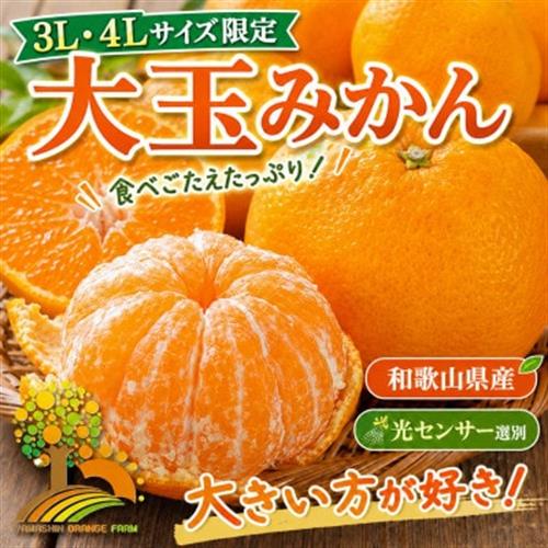 こだわりの有田みかん 秀品 大玉3L以上 約7.5kg (nuk004-l-7d5)【1755703】