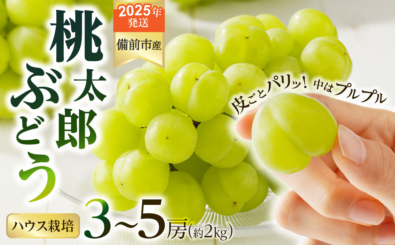 
            【2025年発送】びぜん葡萄「桃太郎ぶどう」（ハウス栽培）約2kg入 【 岡山県備前市産 桃太郎ぶどう 果物 フルーツ ハウス栽培 約2kg （3～5房目安）樹上完熟  】
          