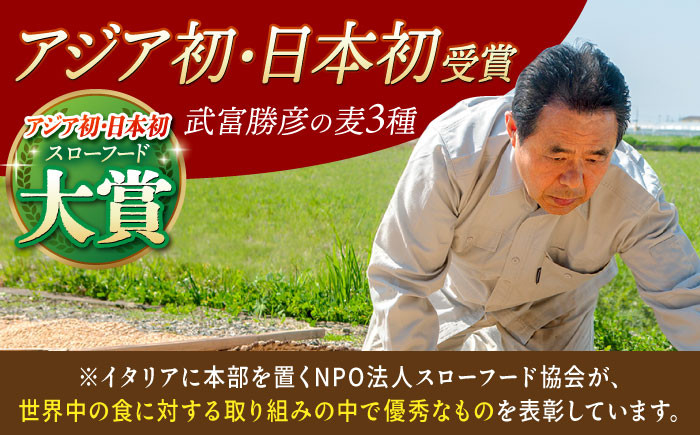 麦 雑穀 雑穀米 麦ごはん 1等麦 特別栽培農産物 佐賀 食物繊維 胚芽押麦 500g ご飯 定期便