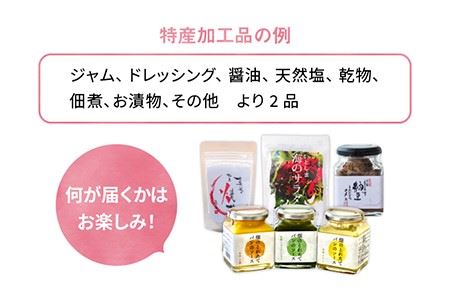 【 全6回 定期便】 朝採り オーガニック 旬 野菜 お任せ 5品 ＋ 糸島産 大ヒット 特産 加工品 2品 のセット《糸島》【オーガニックナガミツファーム】 	[AGE030]