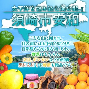 旬 野菜 詰め合わせ セット 7~8品種 高知県 須崎市 やさい 送料無料  AWA009_x