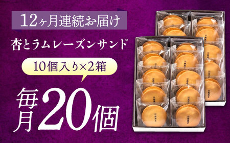 【全12回定期便】お菓子  杏とラムレーズンサンド 10個入り×2　お菓子 あんず おやつ 菓子 お茶 レーズン スイーツ 広島県福山市/有限会社勉強堂[BAFL021]
