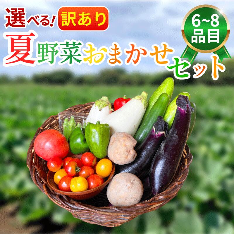 【ふるさと納税】 訳あり 野菜 夏野菜 セット 6～8品 選べる 容量 詰め合わせ 茄子 きゅうり ピーマン トマト ミニトマト 白茄子 オクラ 大葉 枝豆 ズッキーニ ししとう とうもろこし パプリカ じゃがいも たまねぎ にんじん サラダ カレー 野菜炒め 森商店 徳島県 吉野川市