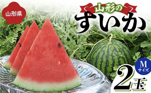 《先行予約 2025年度発送》山形県産すいか 2玉（Mサイズ）  スイカ すいか 西瓜 デザート フルーツ 果物 くだもの 果実 食品 山形県 FSY-1267