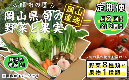 【定期便】晴れの国おかやま　旬の野菜8種と果物1種〈月2回・全12回〉【定期便 野菜 果物 フルーツ 岡山県 おすすめ 人気】