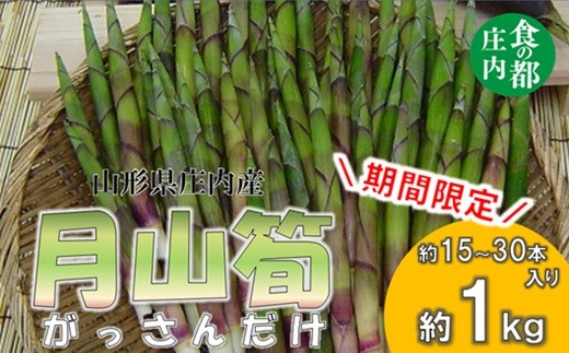 
                  食の都庄内　庄内産　月山筍1kg　【期間限定】※5月上旬～5月下旬発送予定
                