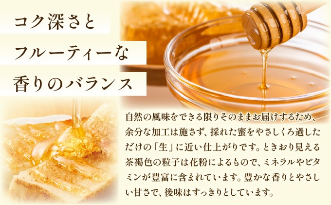 日本蜜蜂の純粋はちみつ 日本蜜蜂の純粋はちみつ 300g×2