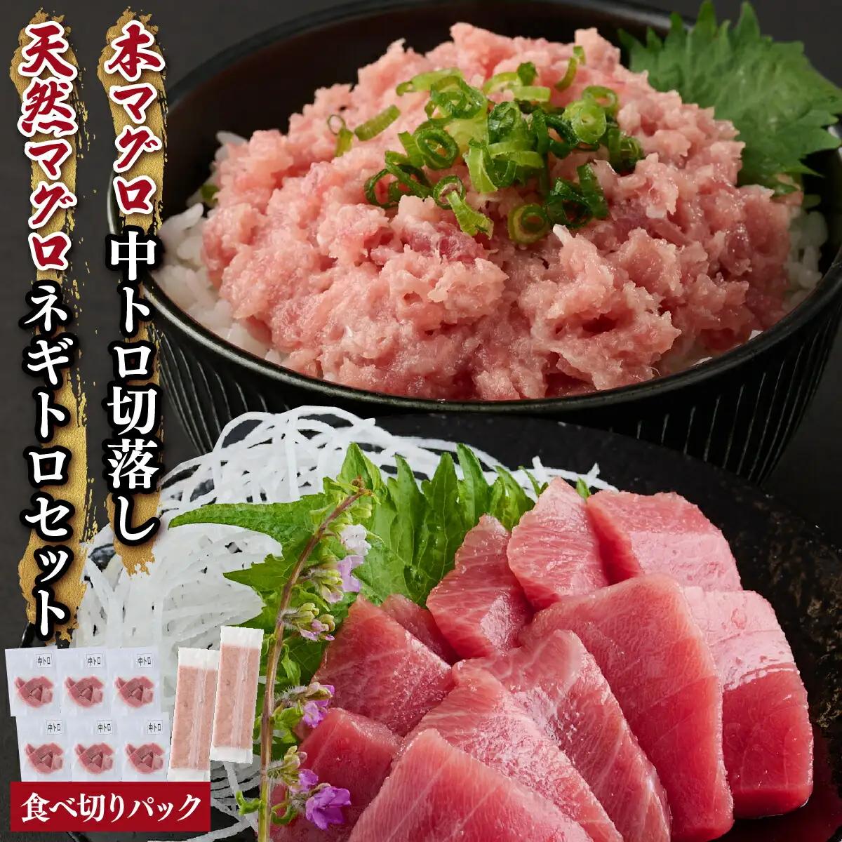 天然 本マグロ 中トロ 刺身 と 天然マグロ ネギトロ セット まぐろ 刺身 海鮮 冷凍 魚 海産物 魚介類 父の日 高知県 まぐろたたき 鮪