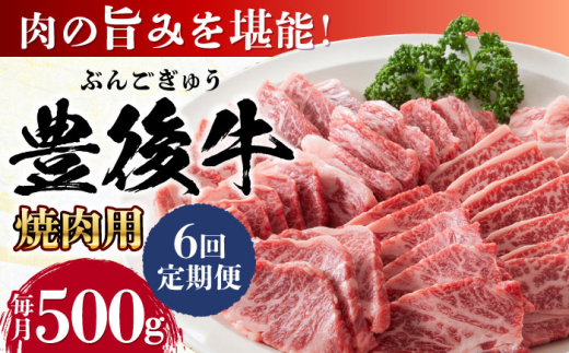 【全6回定期便】おおいた豊後牛 焼肉用 500g 日田市 / 株式会社MEAT PLUS　牛 うし 黒毛和牛 和牛 豊後牛 [AREI099]