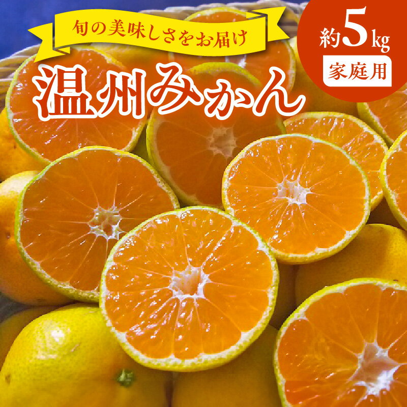【ふるさと納税】家庭用 温州みかん 約 5kg 1箱 進栄 柑橘 果実 常温 果物 ビタミンC 豊富 みかん 旬 国産 フルーツ デザート 熊本 九州 食品 お取り寄せ お取り寄せフルーツ 送料無料【熊本県宇土市】