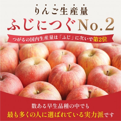 【2026年9月発送予定】平均糖度12度以上! 葉とらずサンつがる 約3kg おもてなし用 クール便【配送不可地域：離島・沖縄県】