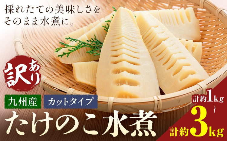 
                  訳あり たけのこ 水煮 カットタイプ 九州産 選べる内容量 2袋 4袋 6袋 (1袋500g) 北薩農産加工場《お届け内容により出荷時期が異なります》鹿児島県 さつま町 送料無料 惣菜 タケノコ 筍 竹の子 パック 水煮 お取り寄せグルメ
                