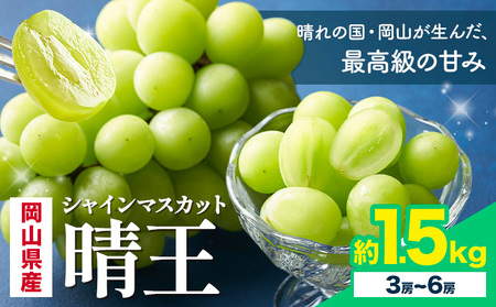 【2026年発送】  シャインマスカット 晴王 1.5kg 株式会社はちや シャインマスカット