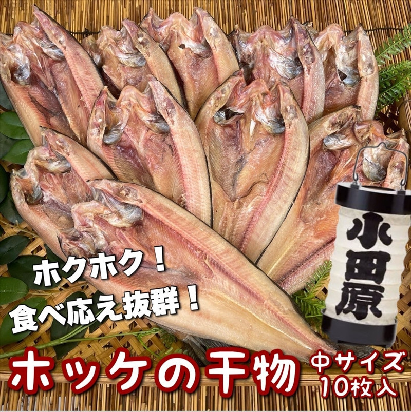 真ほっけの干物 中サイズ 10枚セット 142069_DQ156