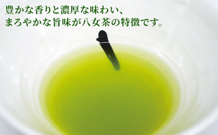 福岡県産八女煎茶とティーバッグ（上煎茶・ほうじ茶）詰合せ＜お茶の星陽園＞那珂川市  14000 14000円 [GAD015]