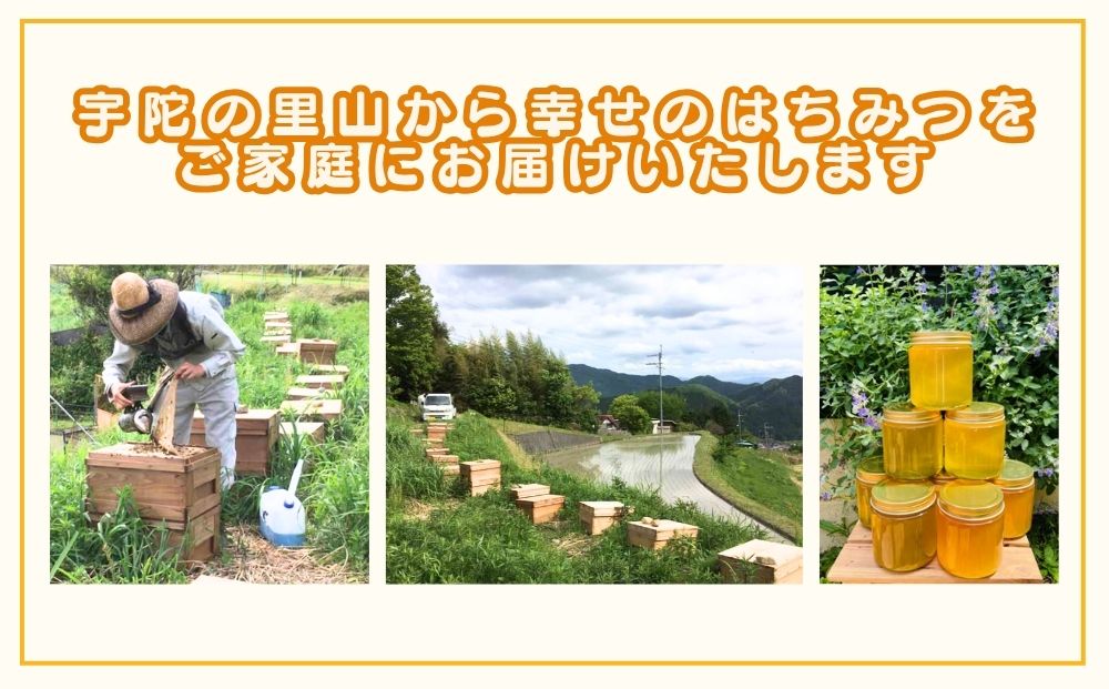 国産 純粋 はちみつ 里の花 125g 黄檗 125g (各1本)／ 蜂蜜 ハチミツ 非加熱 無添加 無加工 百花蜜 単花蜜 キハダ お取り寄せ 伊藤ゆう養蜂園 奈良県 宇陀市 ふるさと納税