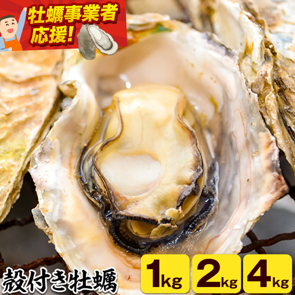 【ふるさと納税】笠岡産 (瀬戸内海産) 殻付き牡蠣 (加熱用) 選べる内容量 1kg 2kg 4kg《出荷時期が選べる》2月 3月 岡山県 笠岡市 かき カキ 牡蠣 生牡蠣 瀬戸内海産 殻付き