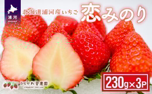【今が旬！】北海道浦河産いちご「恋みのり」230g×3P[13-268]