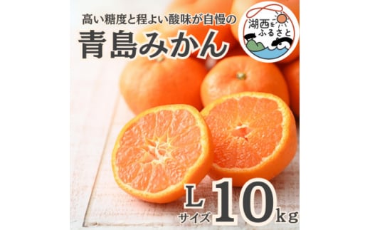 ＜先行受付＞＜2026年1月初旬頃より順次出荷予定＞青島みかん約10kg Lサイズ〔鈴木農園〕【1510095】