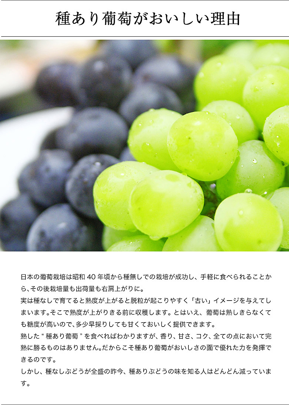 【New】幸田町産 ぶどう使用(無添加、無糖、無加水)100％ ジュース 多種類 6本詰め合わせ ぶどうジュース_イメージ2