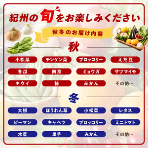 【8065】紀州の野菜・果物セット（9～14品目）定期便年12回
