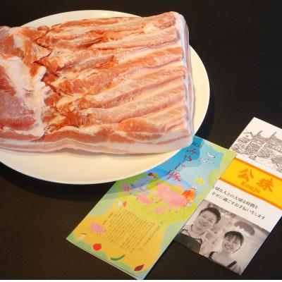 ふるさと納税 藤沢市 藤沢ブランド『みやじ豚』使用の肉汁飛び出す『みやじ豚の金ぎょうざ』(ニンニク入り特製ぎょうざ) |  | 01