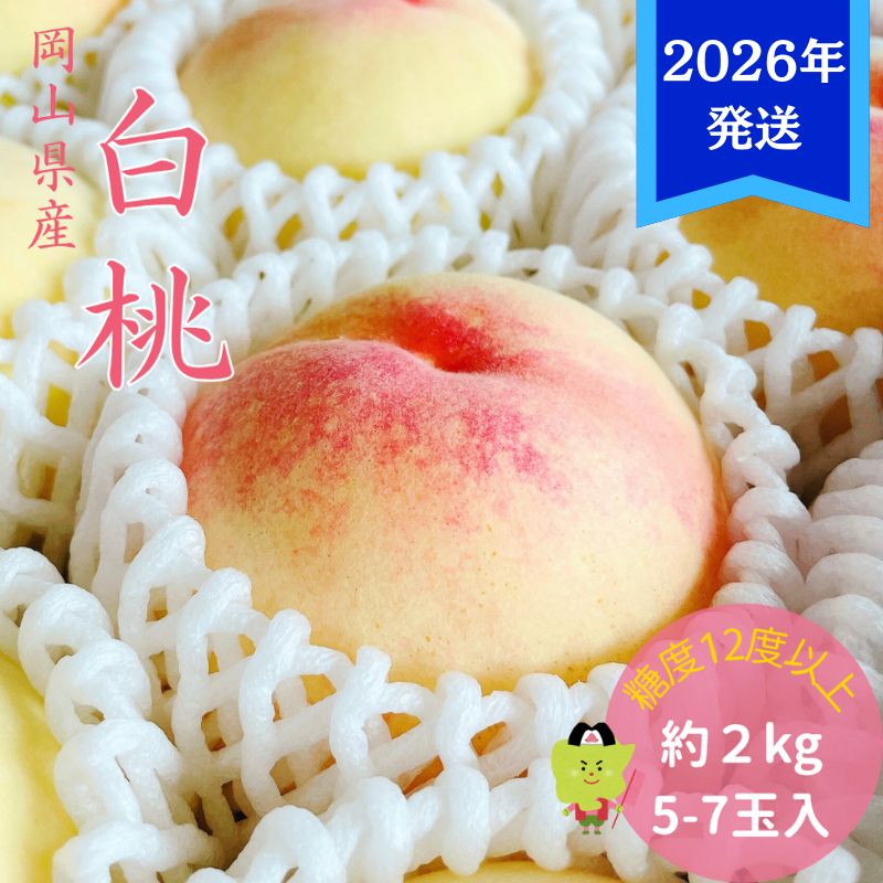 【ふるさと納税】【2026年先行受付】 白桃 特秀 ロイヤル 大玉 約2kg(5～7玉) 岡山県産 桃 もも モモ 御中元 ギフト 御礼 プレゼント 御礼 御祝 御供 果物 くだもの フルーツ　お届け：2026年7月上旬～2026年8月上旬