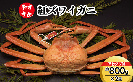 【おすすめ】紅ズワイガニ約800g×2尾（孫七タグ付）※2026年9月～発送