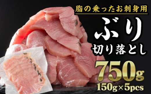  生食用 ブリ 切り落し 大満足750gセット（150g × 5パック） 小分け ブランド ぶり 鰤 ブリ ぶりしゃぶ しゃぶしゃぶ 魚 切り身 真空 人気 ランキング 高級 大満足 美味しい 贈答 生食用 刺身 お刺身 刺し身 魚介類 海鮮 冷凍 厚切り 薄切り ふるさと納税 ふるさとチョイス 三重県 尾鷲市 OB-32