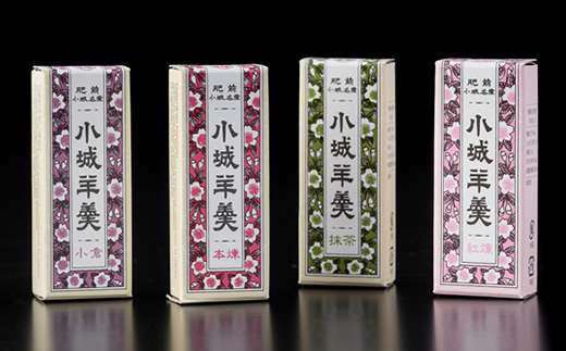 小型小城羊羹24本詰（村岡総本舗）詰め合わせ 父の日 母の日 敬老の日 お茶 スポーツ ようかん 一口サイズ ミニサイズ
