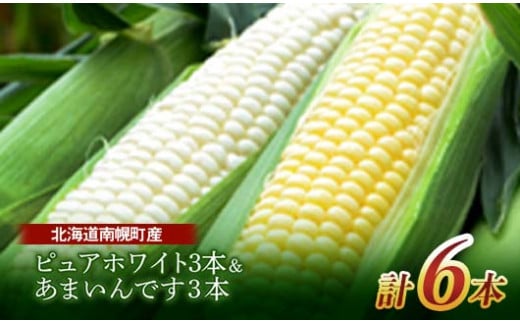 《先行受付》令和7年発送 北海道産 とうもろこし 食べ比べ ピュアホワイト3本＆あまいんです3本 朝採れ 一番果 産地直送 数量限定 期間限定 NP1-177