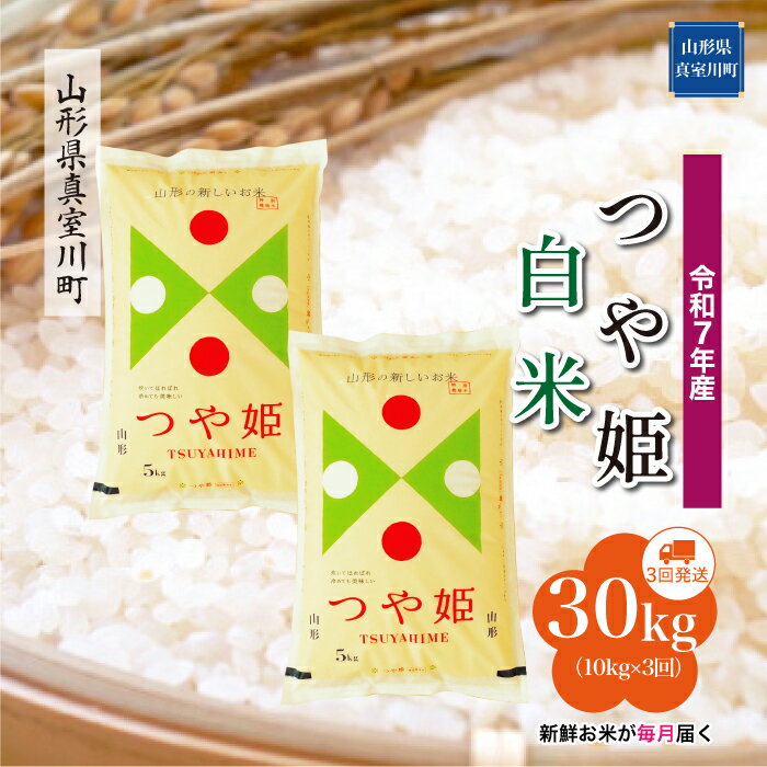 【ふるさと納税】 令和7年産 真室川町厳選 つや姫 ［白米］ 30kg 定期便（10kg×3回お届け）