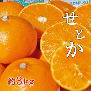 ＜果汁たっぷりコクのある甘みが自慢＞せとか3kg詰め合わせ